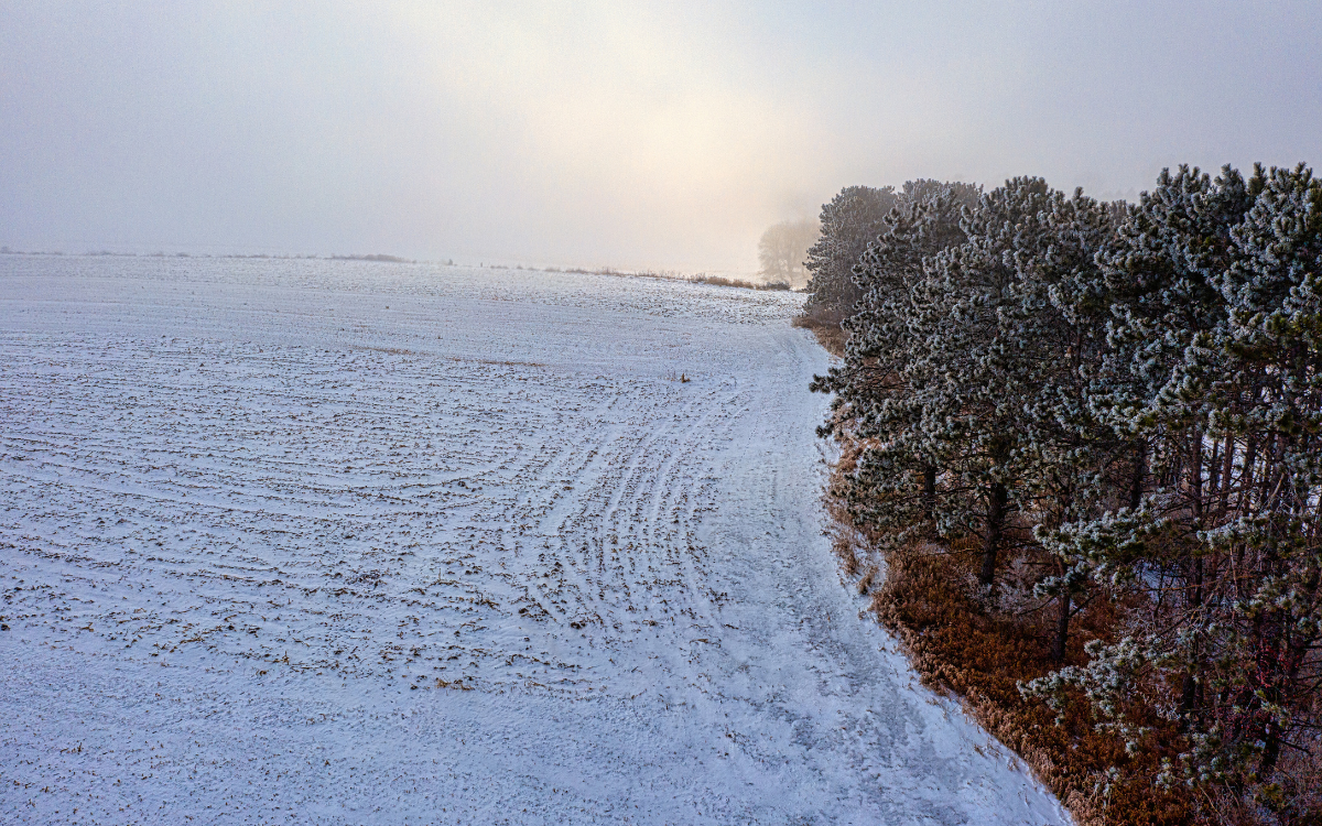 Getting Your Land Ready for Winter in Southern Iowa